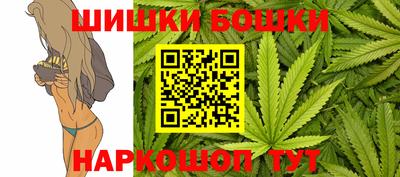 стафф Донской