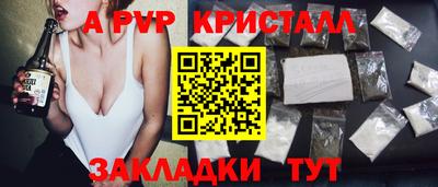 стафф Донской