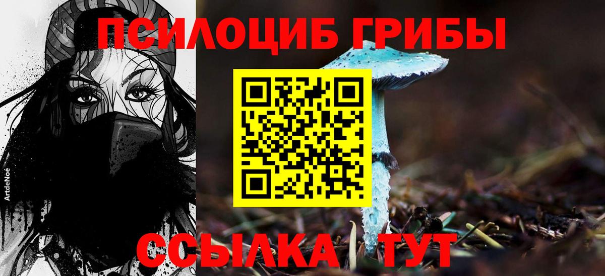 Галлюциногенные грибы мухоморы Евпатория