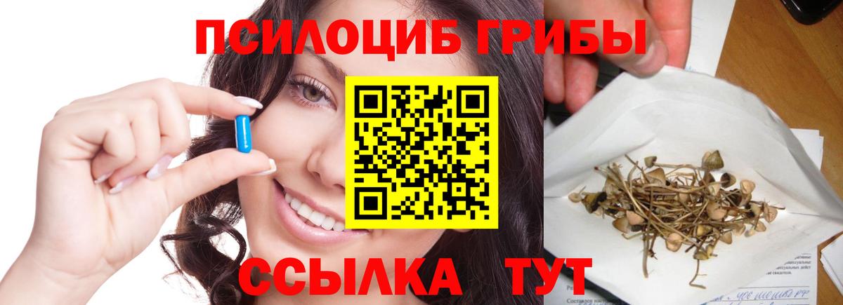 Евпатория  Галлюциногенные грибы MAGIC MUSHROOMS  Галлюциногенные грибы мухоморы  Вход с VPN 